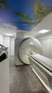 Siemens MAGNETOM Amira 2017 — 3